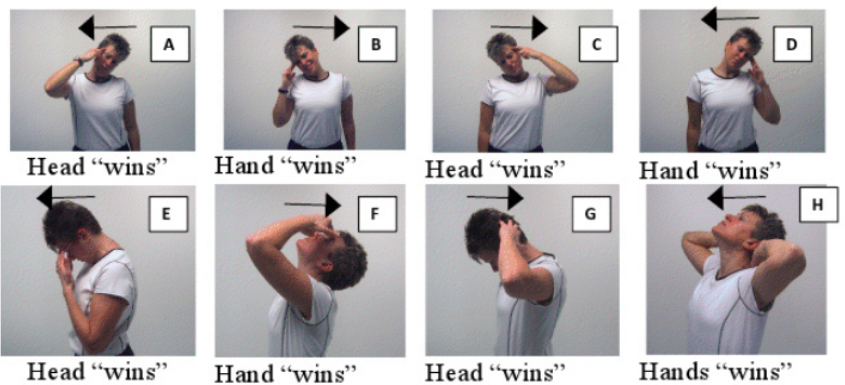 Exercise in Your Neck and Head Muscles